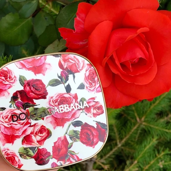 Dolce & Gabanna Blush Of Roses Luminous Cheek Colour 100 Tan Limited Edition NEW - Picture 8 of 8